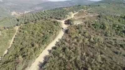 Bursa’da zeytin hırsızlarına dronlu denetim