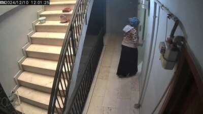 Bursa’da hırsızı köpek engelledi