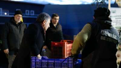 Bursa’da zeytin üreticisine dev destek