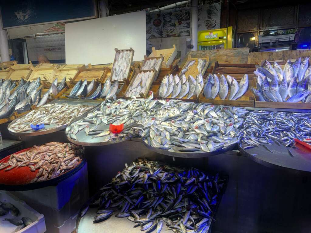 Bursa’da tezgahlarda hamsi ve çinekop bolluğu! Balık fiyatları ne durumda?