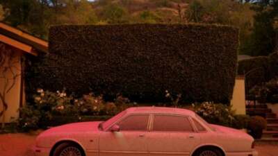 Los Angeles’te yangınları durduran pembe toz!
