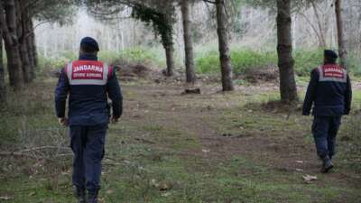 Bursa’da firar eden ayı havadan ve karadan aranıyor
