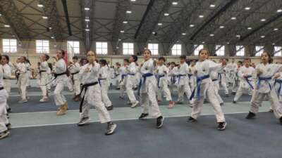 Osmangazi’de karate eğitim semineri