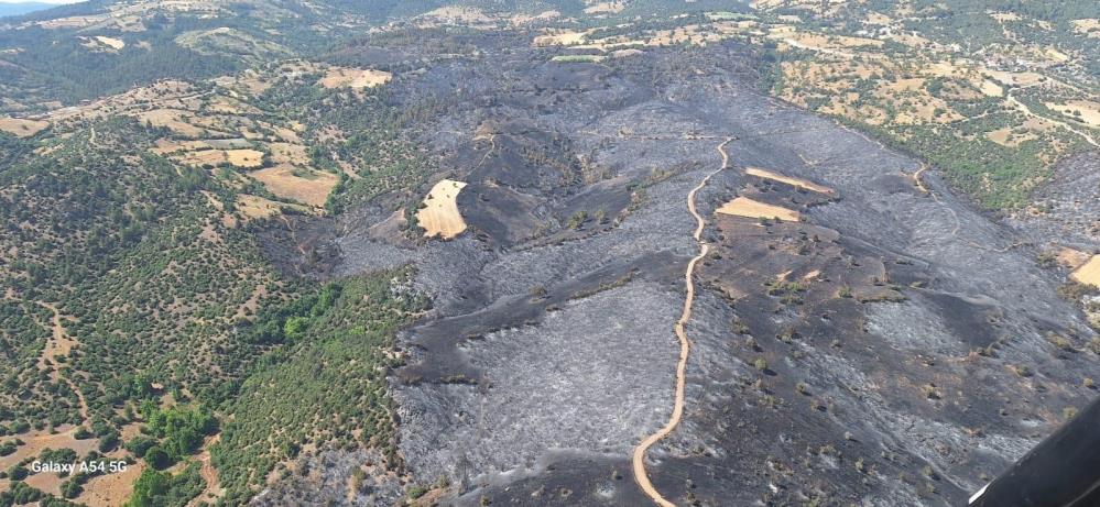 Bursa’da ormanlar küllerinden doğuyor