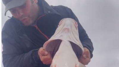 Yakaladığı dev Fırat turnasını görünce hayrete düştü
