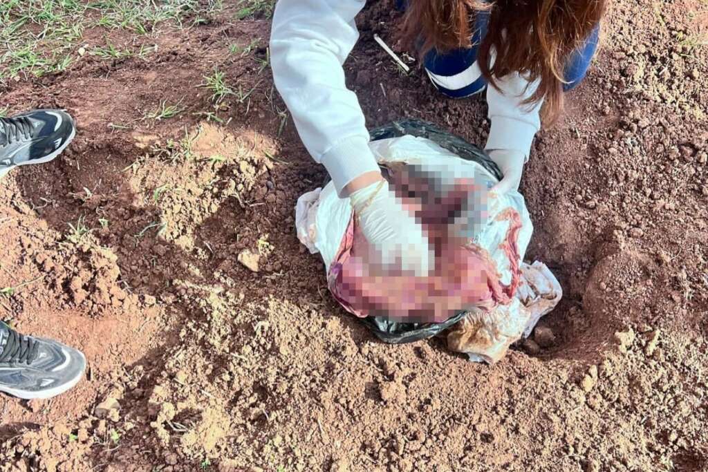 Yeni doğan bebek cinayeti: Bebeğini canice öldüren anne tutuklandı