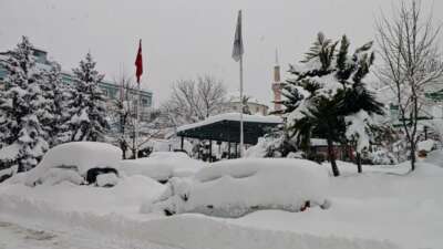 Artvin şehir merkezinde kar esareti