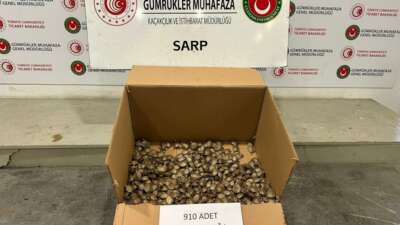 Ticaret Bakanlığı Gümrükler Muhafaza ekiplerinden “su kaplumbağası” operasyonu