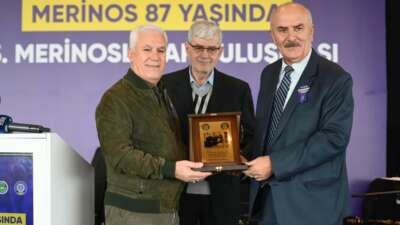 Merinos’un mirası Bursa’da yaşatılıyor