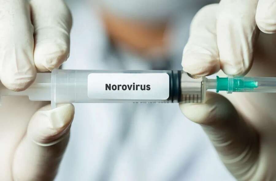 Norovirüs nedir belirtileri neler? Dünya genelinde hızla yayılıyor