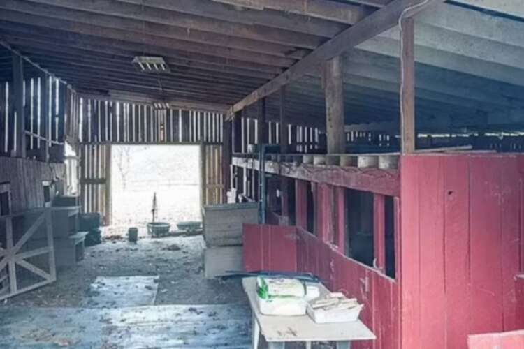 5 çocuğu evlat edinip istismar ettiler! Komşuları ihbar etti
