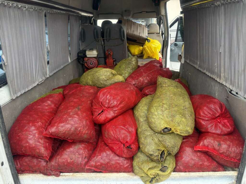 1,5 ton kaçak midye ele geçirildi