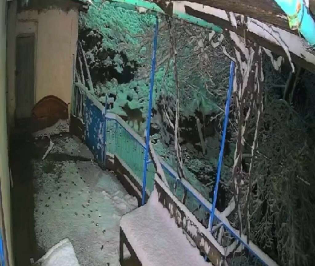 Çakalın tepsiyi çalma anı kamerada
