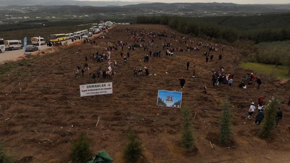 1 milyon fidan yeşil Bursa’ya renk katacak