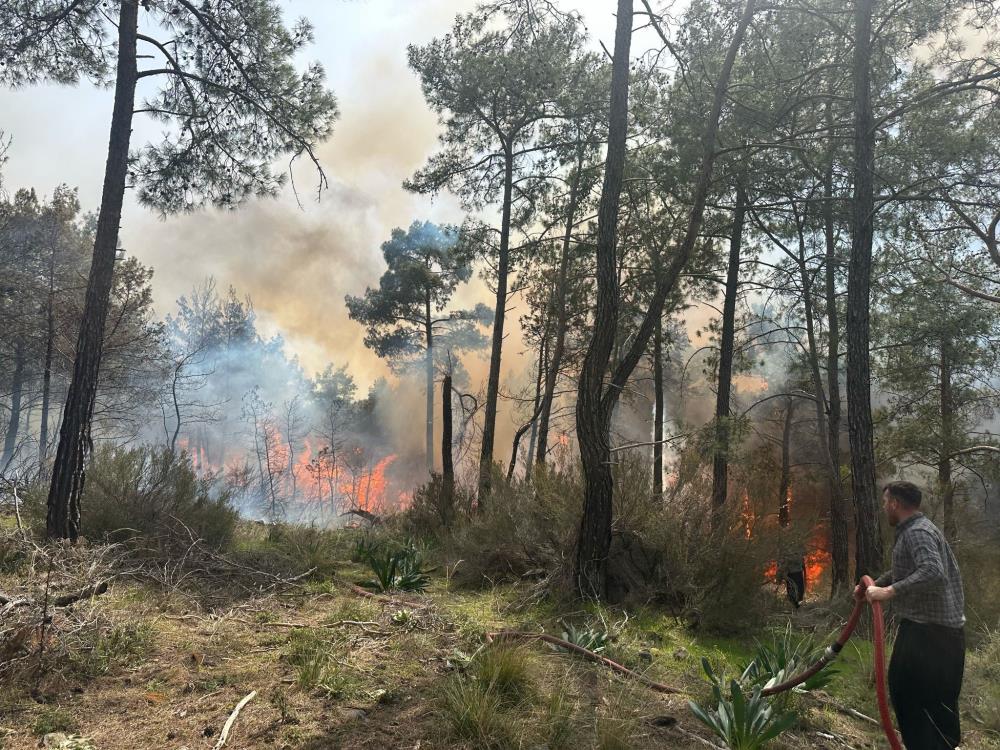 Kemer’de orman yangını Kemer’de orman yangını