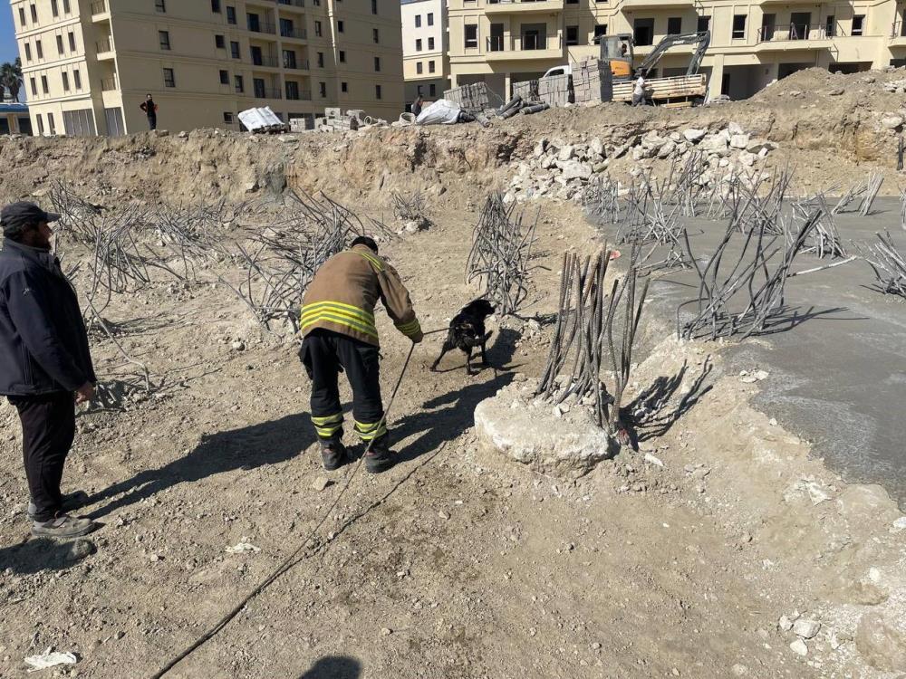 İnşaat alanındaki 15 metrelik çukura düşen köpek kurtarıldı İnşaat alanındaki 15 metrelik çukura düşen köpek kurtarıldı