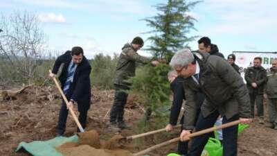 Bursa’da denetimli serbestlik yükümlüleri fidan dikti