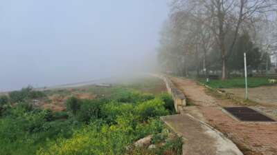 İznik sise teslim