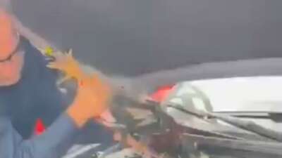 Bursa’da araç motoruna bu kez kedi değil, horoz girdi