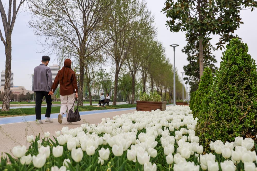Bursa çiçek açtı