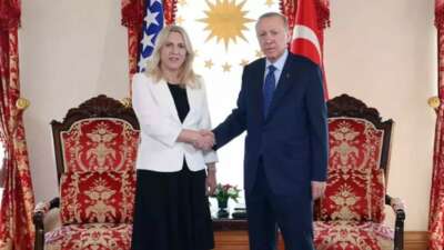 Erdoğan, Bosna Hersek Devlet Başkanlığı Konseyi Başkanı Sviyanoviç ile görüştü