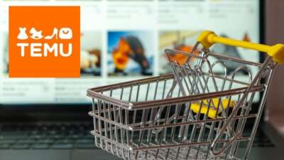 Temu kapatılacak mı? E-ithalata inceleme başladı