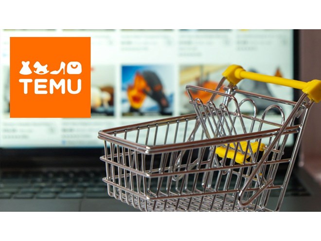 Temu kapatılacak mı? E-ithalata inceleme başladı