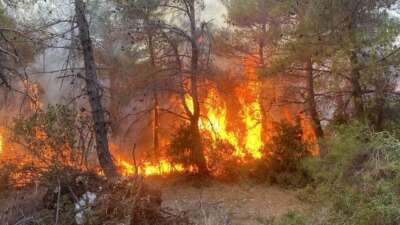 Çanakkale’de orman yangınında 2 kardeşe para cezası verildi