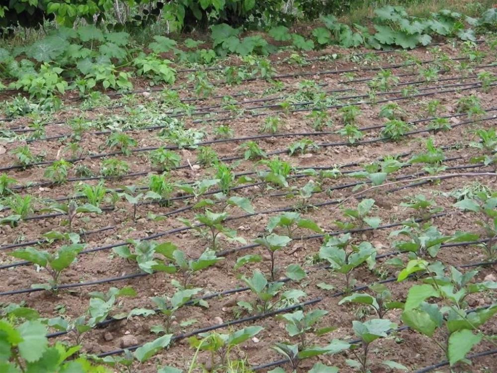 Bursa’da tarımsal sulamada “kamu spotu” önerisi