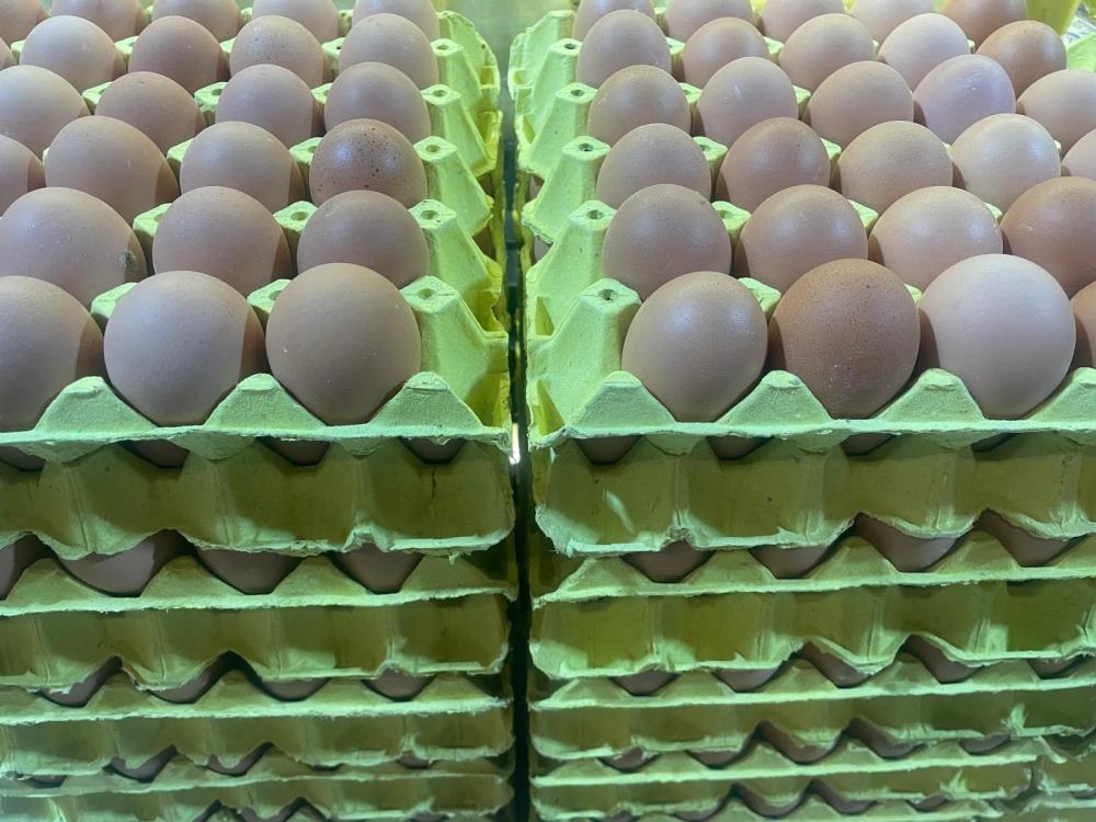 Yumurta fiyatları “mayıs çukuru” yaklaşınca düşüşe geçti