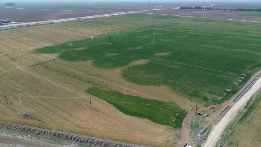 Amik Ovası için bilim adamından kritik uyarı
