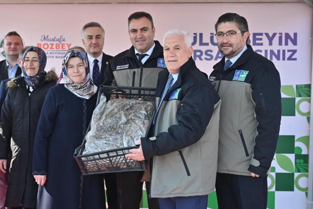 Bursa’da çiftçilere 1 milyon 222 bin çilek fidesi hibe edildi