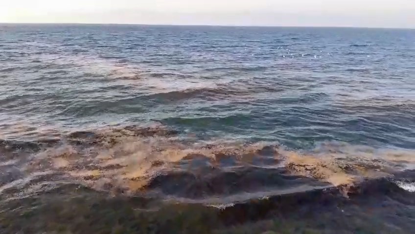 Bursa’da tedirgin eden görüntü: Kabus geri döndü!