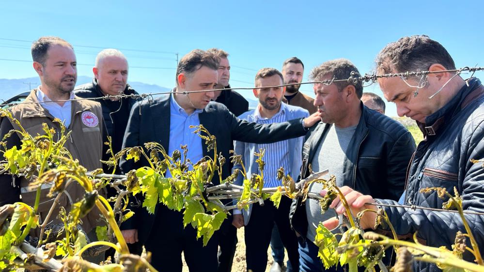 TBMM zirai dondan etkilenen üreticiler için adım attı