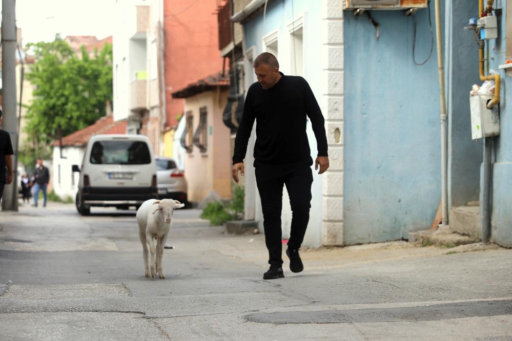 Bursa’da kuzu ile parka gidip koşuyor