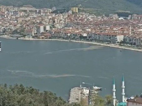 Tedirgin eden görüntü… Bursa’da müsilaj kabusu geri döndü!