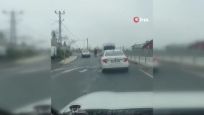 Deve kaçtı, sahibi kovaladı