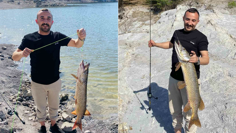 Bursa’da balıkçının oltasına takıldı! Tam 7 kilo ağırlığında