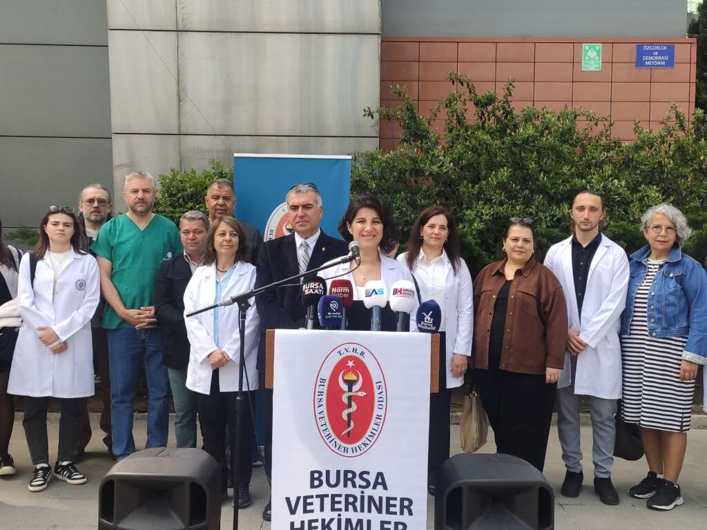 Veteriner Hekimler Günü’nde sorunlara dikkat çekildi: “Mesleğimiz kan kaybediyor”