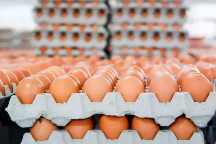 O ülkede kahverengi yumurta satışı kısıtlandı