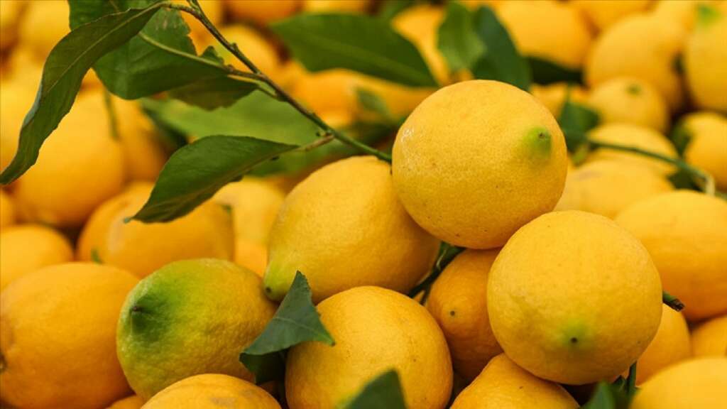 İstanbul’da Nisan ayında en çok limon pahalandı