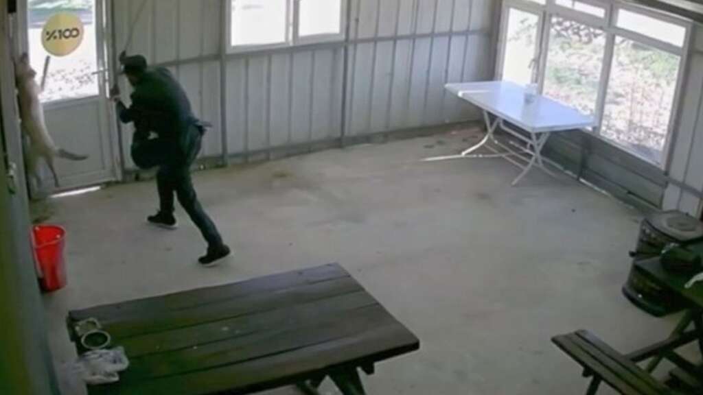 81 yaşındaki şahıs köpeğe dehşeti yaşattı