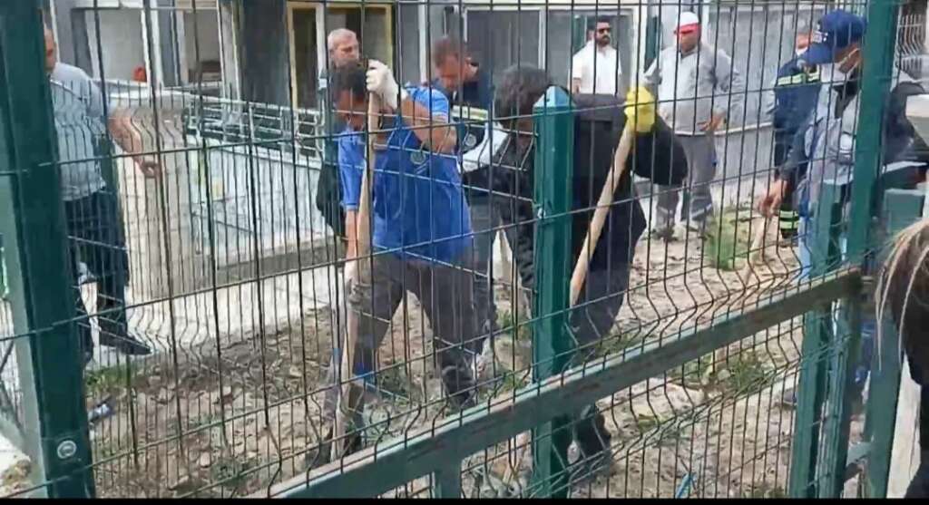 Hayvanları öldürdüğü gerekçesiyle tutuklanan zanlının, yavru köpeği tekmelediği anların görüntüsü ortaya çıktı