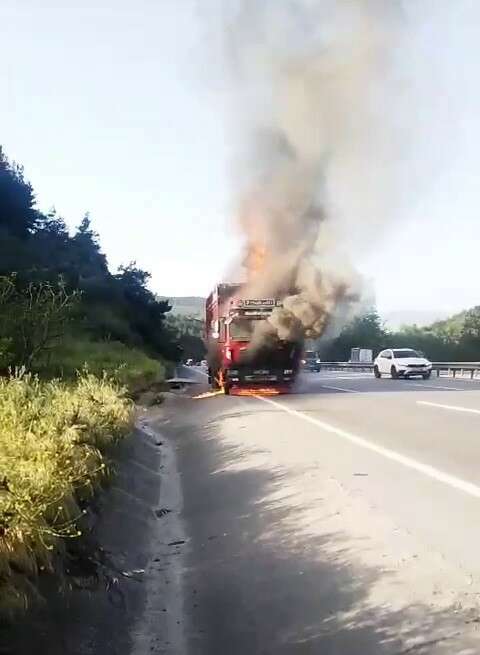 Bursa’da hayvan yüklü kamyon alevlere teslim oldu