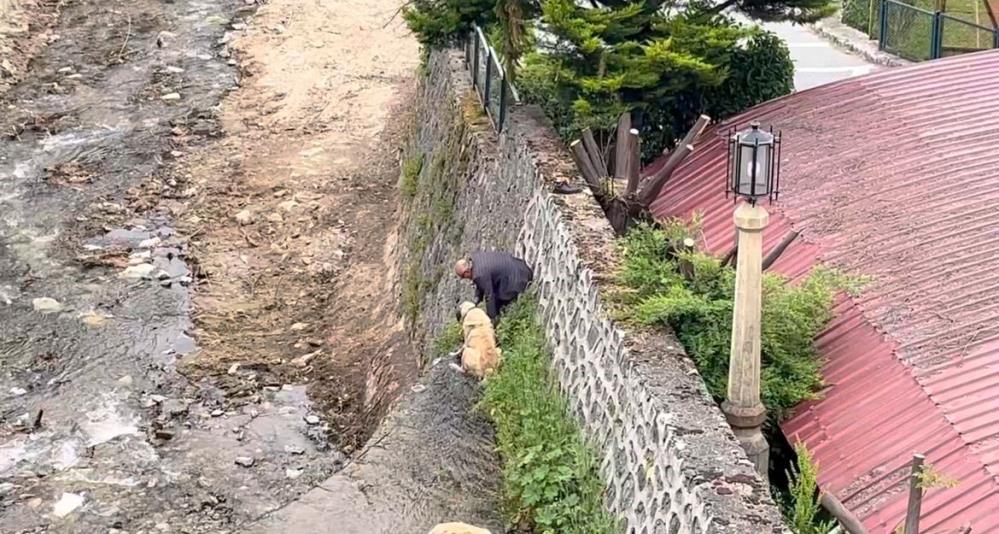 Bursa’da Kangal köpekleri için dereye indi