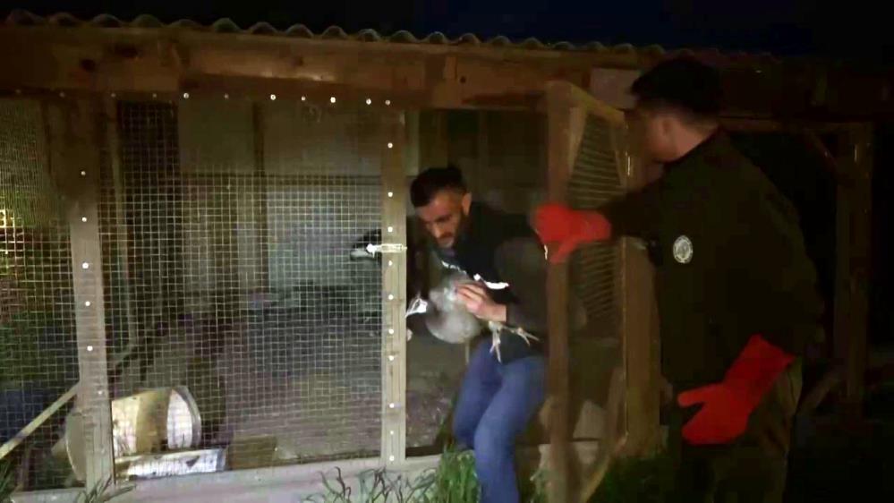 Hayvanat bahçesi gibi ev: Evinden çıkanlar hayrete düşürdü