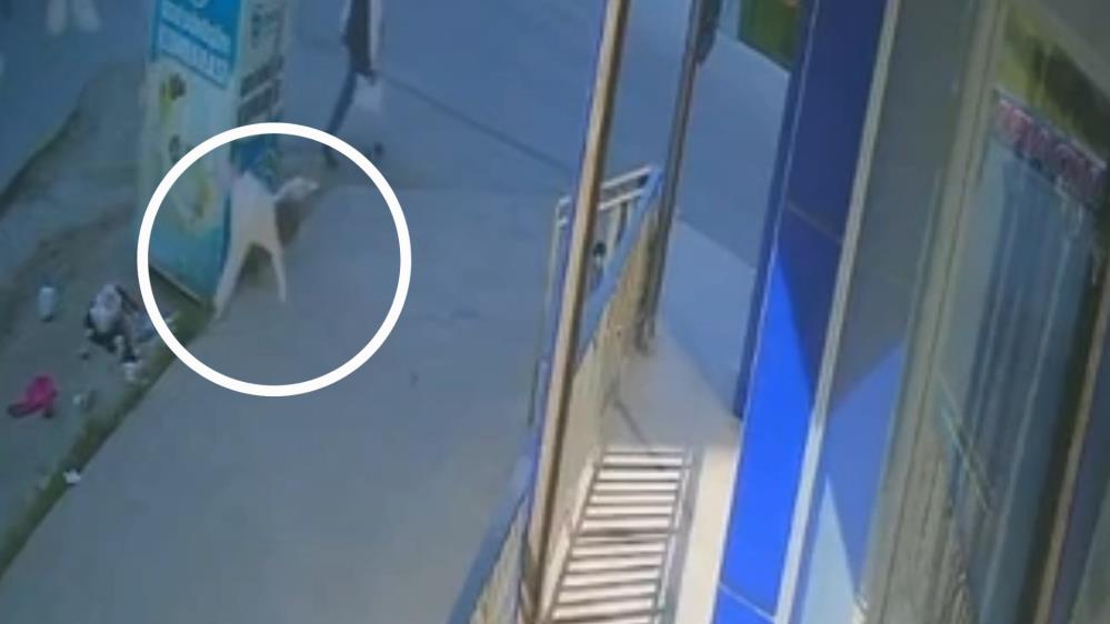 5. kattan düşen 1 yaşındaki bebek ağır yaralandı