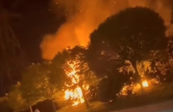 Ormanlık alanda korkutan yangın Ormanlık alanda korkutan yangın