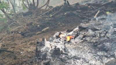 Kahramanmaraş’ta feci yangın: Ekipler 5 helikopter ve 110 personelle müdahale ediyor