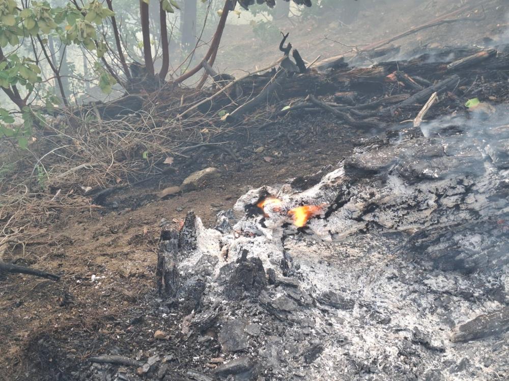 Kahramanmaraş’ta feci yangın: Ekipler 5 helikopter ve 110 personelle müdahale ediyor